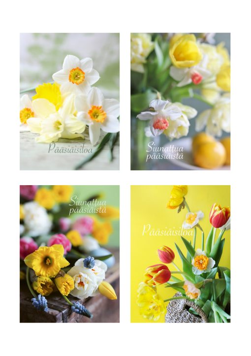 Pääsiäiskorttilajitelma 5