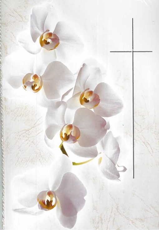 Suruadressi valkoiset orkidea
