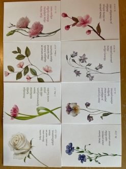 Raamatunlausekortit kukkakuvin paketti