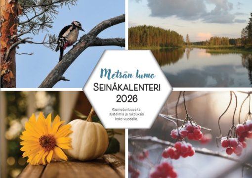 Metsän lumo seinäkalenteri 2026 2-kalenterin tarjous
