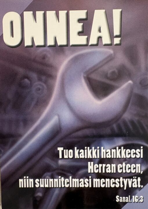 Korttinippu 25 kpl Onnea! Sanal. 16:3