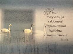 Korttinippu 25 kpl (Ps. 32:6)