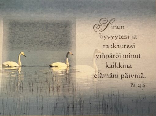 Korttinippu 25 kpl (Ps. 32:6)