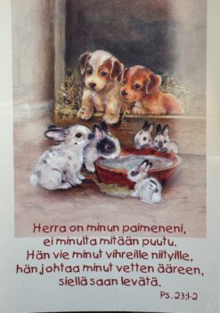 Korttinippu 25 kpl Ps. 23:1-2