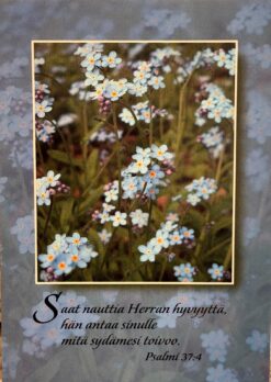 Korttinippu 25 kpl Ps. 37:4
