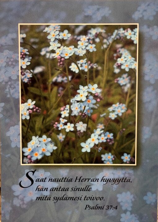 Korttinippu 25 kpl Ps. 37:4