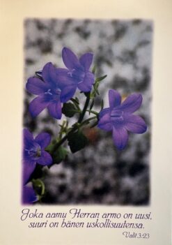 Korttinippu 25 kpl Valit.3:23