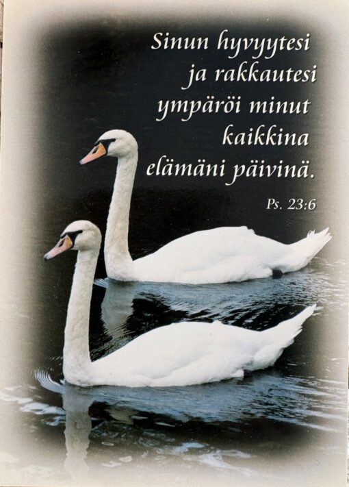 Korttinippu 25 kpl Ps. 23:6