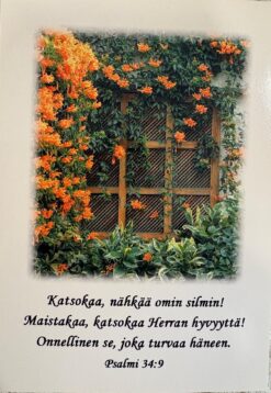 Korttinippu 25 kpl Ps. 34:9