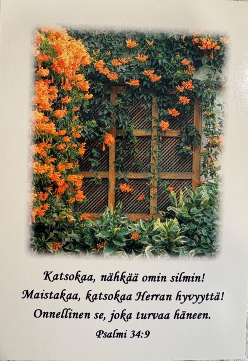 Korttinippu 25 kpl Ps. 34:9