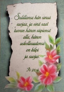 Korttinippu 25 kpl Ps 91:4