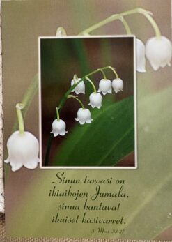 Korttinippu 25 kpl Moos. 33:27