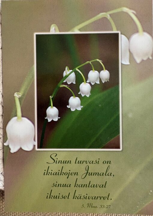 Korttinippu 25 kpl Moos. 33:27