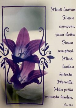 Korttinippu 25 kpl Ps 13:6