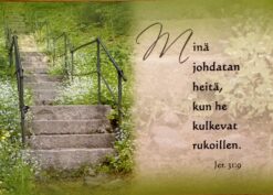 Korttinippu 25 kpl Jer 31:9