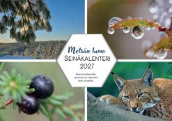 Metsän lumo seinäkalenteri 2027